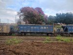 RUMO HNR-343055-3